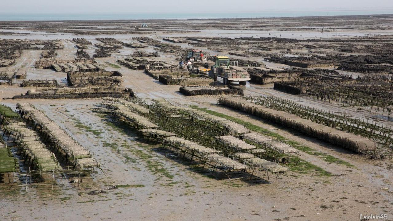 Petit Chatelet Bis Hirel Eksteriør billede
